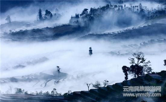 哈尼梯田最佳拍攝地推薦