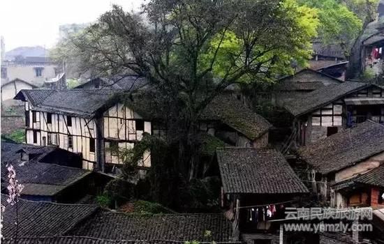 看點(diǎn)：納西原生態(tài)、明清建筑群、白沙壁畫