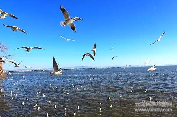 云南六大最新最具特色的旅游攻略！