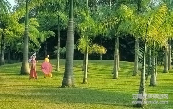 云南六大最新最具特色的旅游攻略！