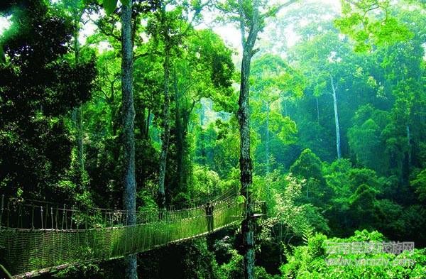 云南六大最新最具特色的旅游攻略！