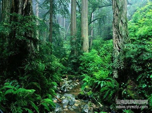 云南六大最新最具特色的旅游攻略！