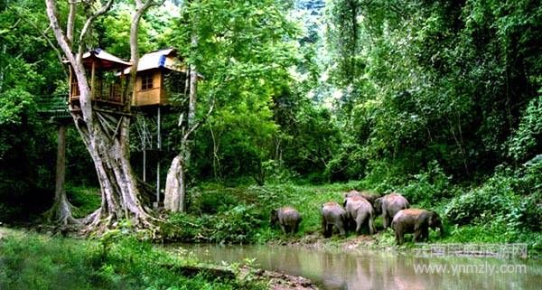 云南六大最新最具特色的旅游攻略！