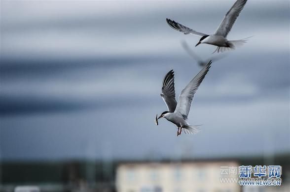 (圖文互動(dòng))(10)奏響新時(shí)代偉大復(fù)興的壯麗樂章——寫在“中國(guó)夢(mèng)”提出五周年之際