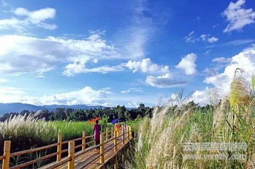 盈江游玩最強(qiáng)攻略 你得這樣玩