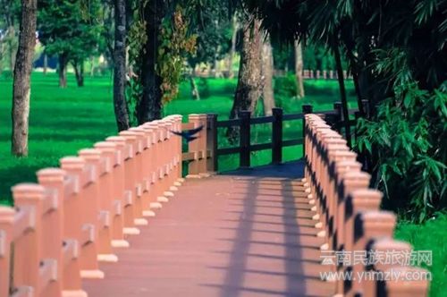 盈江游玩最強(qiáng)攻略 你得這樣玩