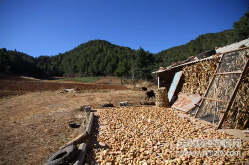 5年了，這對(duì)夫妻在文筆山深處為夢(mèng)想打拼