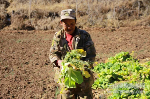 5年了，這對(duì)夫妻在文筆山深處為夢(mèng)想打拼