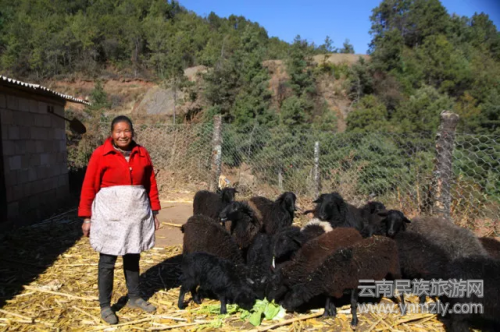 5年了，這對(duì)夫妻在文筆山深處為夢(mèng)想打拼