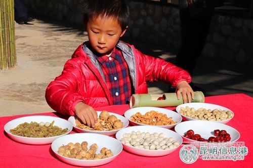 云南野生動(dòng)物園引進(jìn)世界上最漂亮的猴子山魈 邀游客為其取名 云南野生動(dòng)物園引進(jìn)世界上最漂亮的猴子山魈 邀游客為其取名